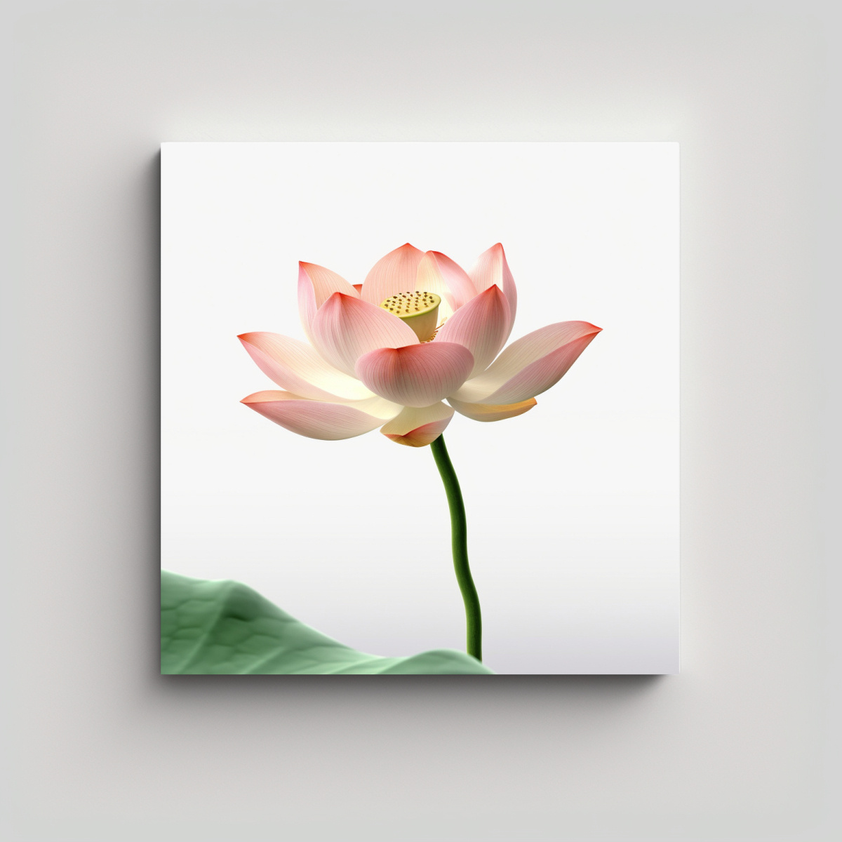 arte-de-loto-en-flor-y-capullo-de-loto-fondo-blanco-hd-calidad-premium