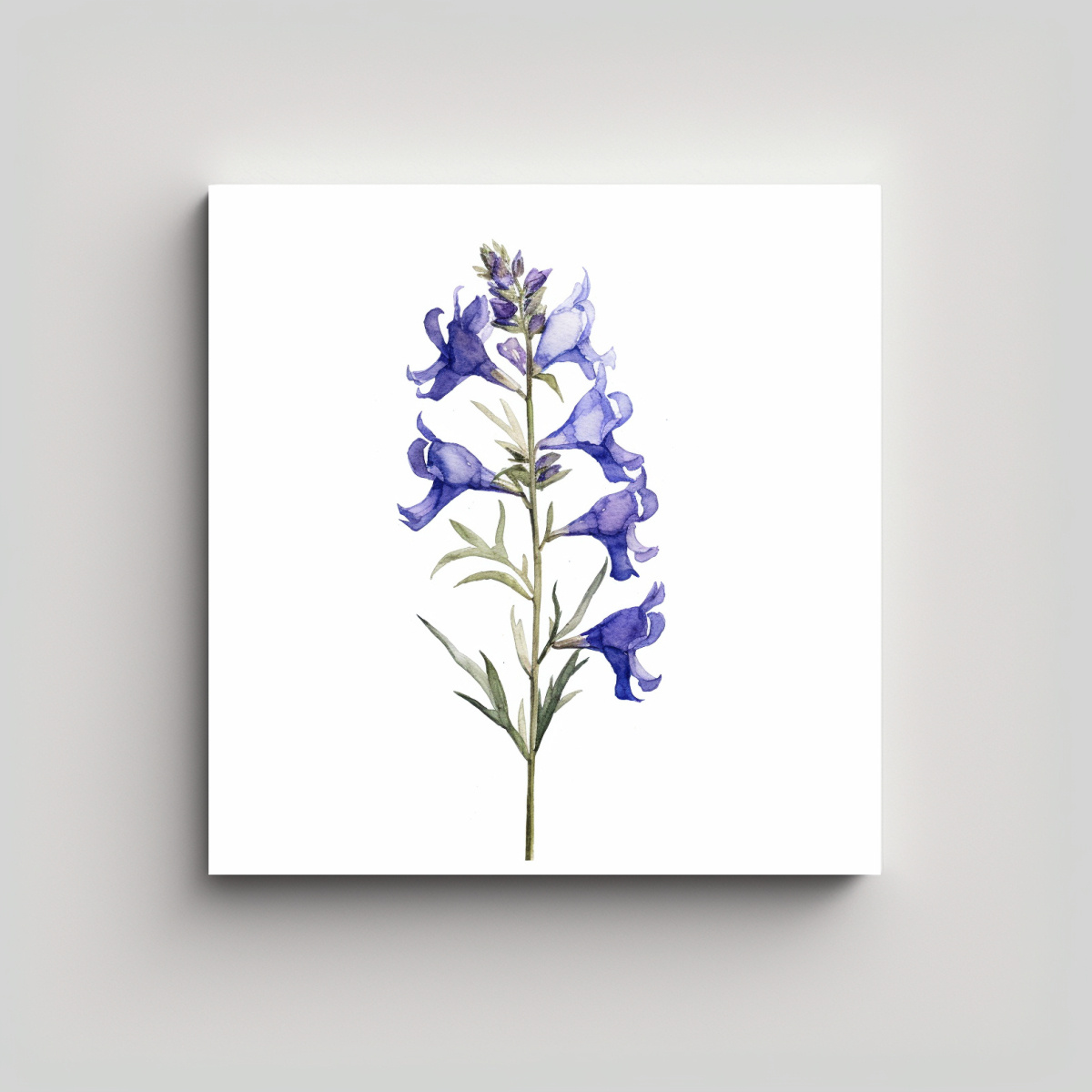 arte-intenso-larkspur-en-acuarela-simple-sobre-fondo-blanco