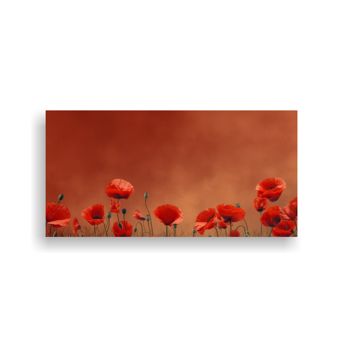 cuadro-con-fondo-de-amapola-roja-estrellado-con-espacio-vac-o