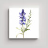 cuadro-de-acuarela-flor-larkspur-con-tallo-largo-belleza-natural