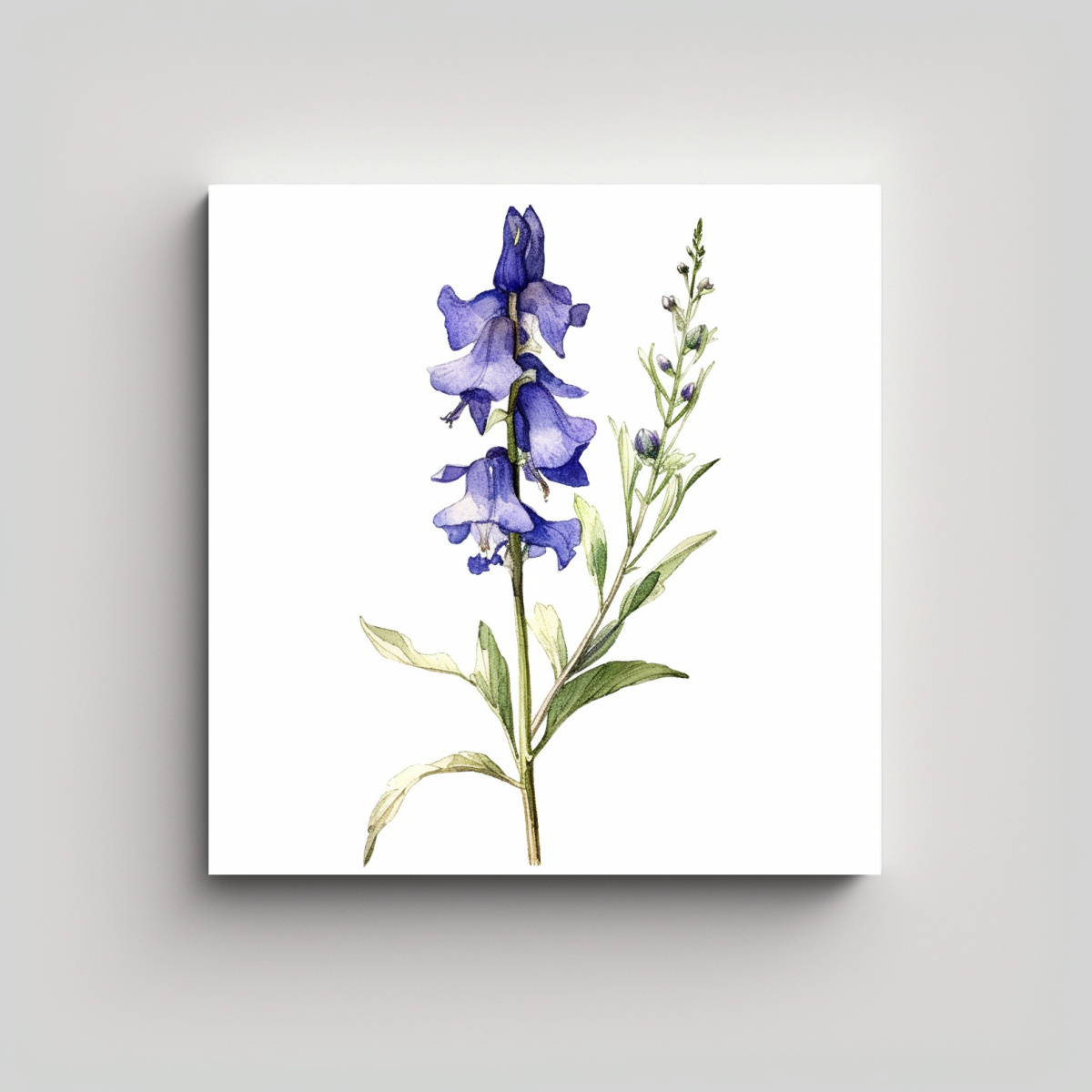 cuadro-de-acuarela-flor-larkspur-con-tallo-largo-belleza-natural