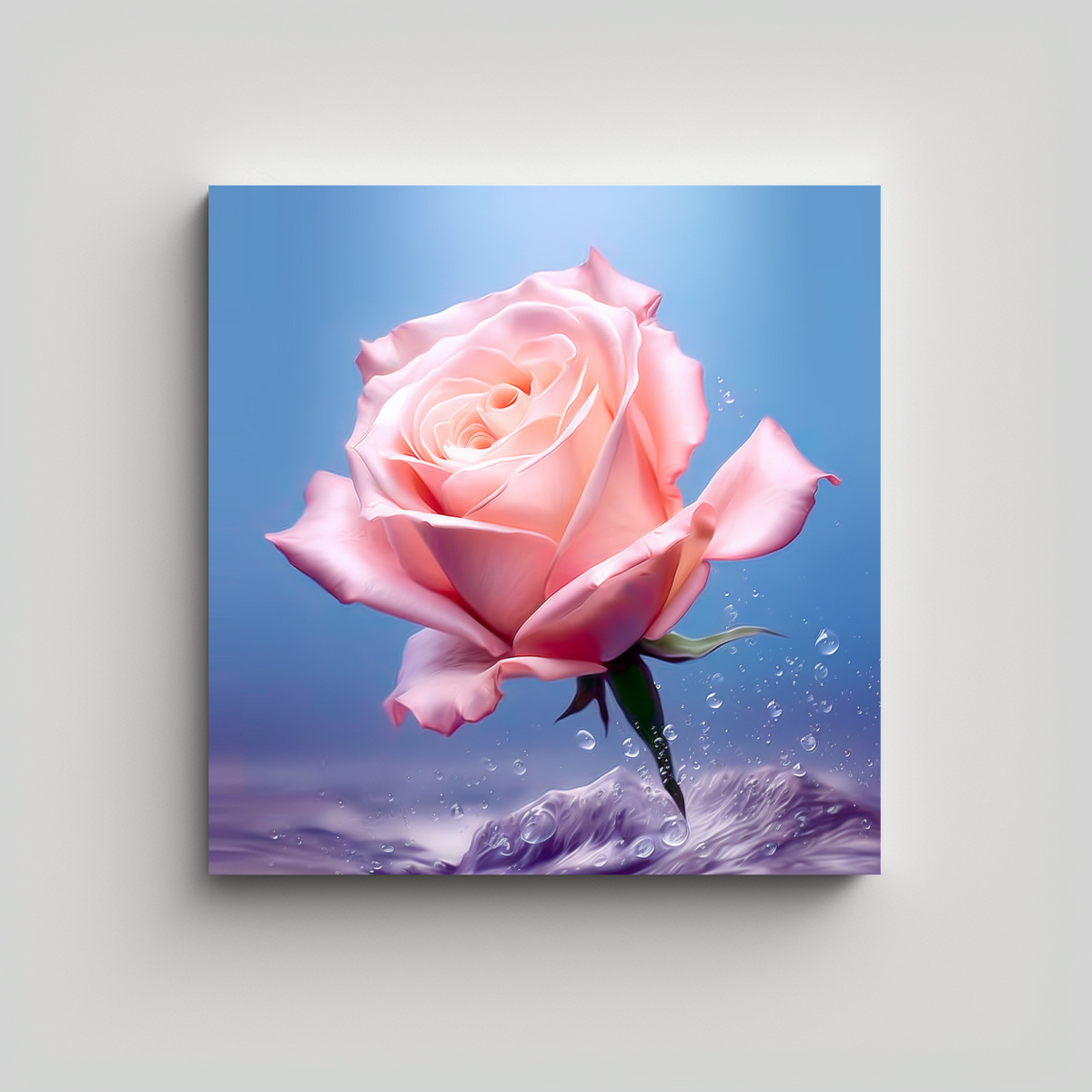 cuadro-fotogr-fico-de-rosa-rosa-grande-en-vista-estrella