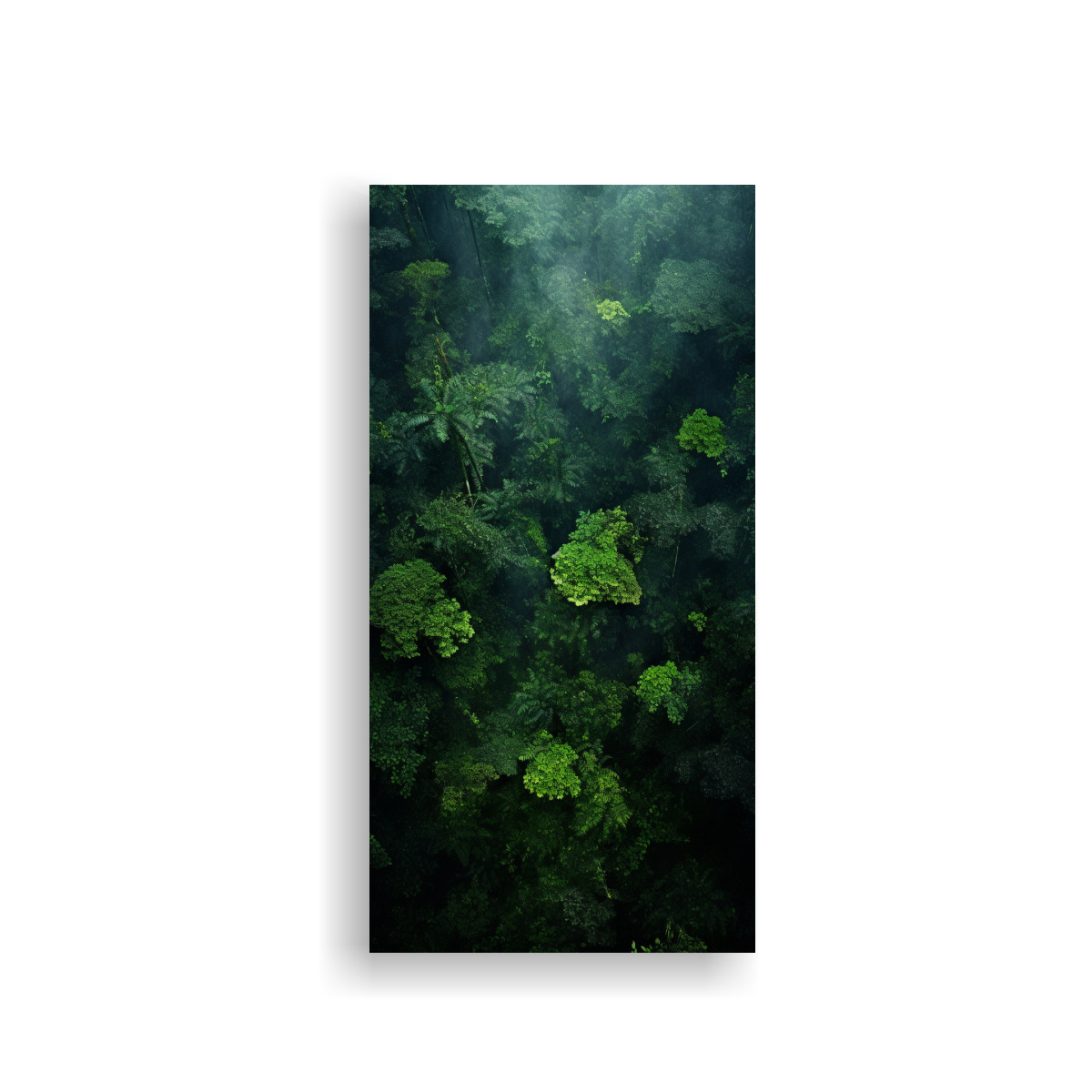 cuadros-decorativos-de-sala-con-una-mezcla-abstracta-de-copas-de-rboles-de-la-selva-tropical-vista