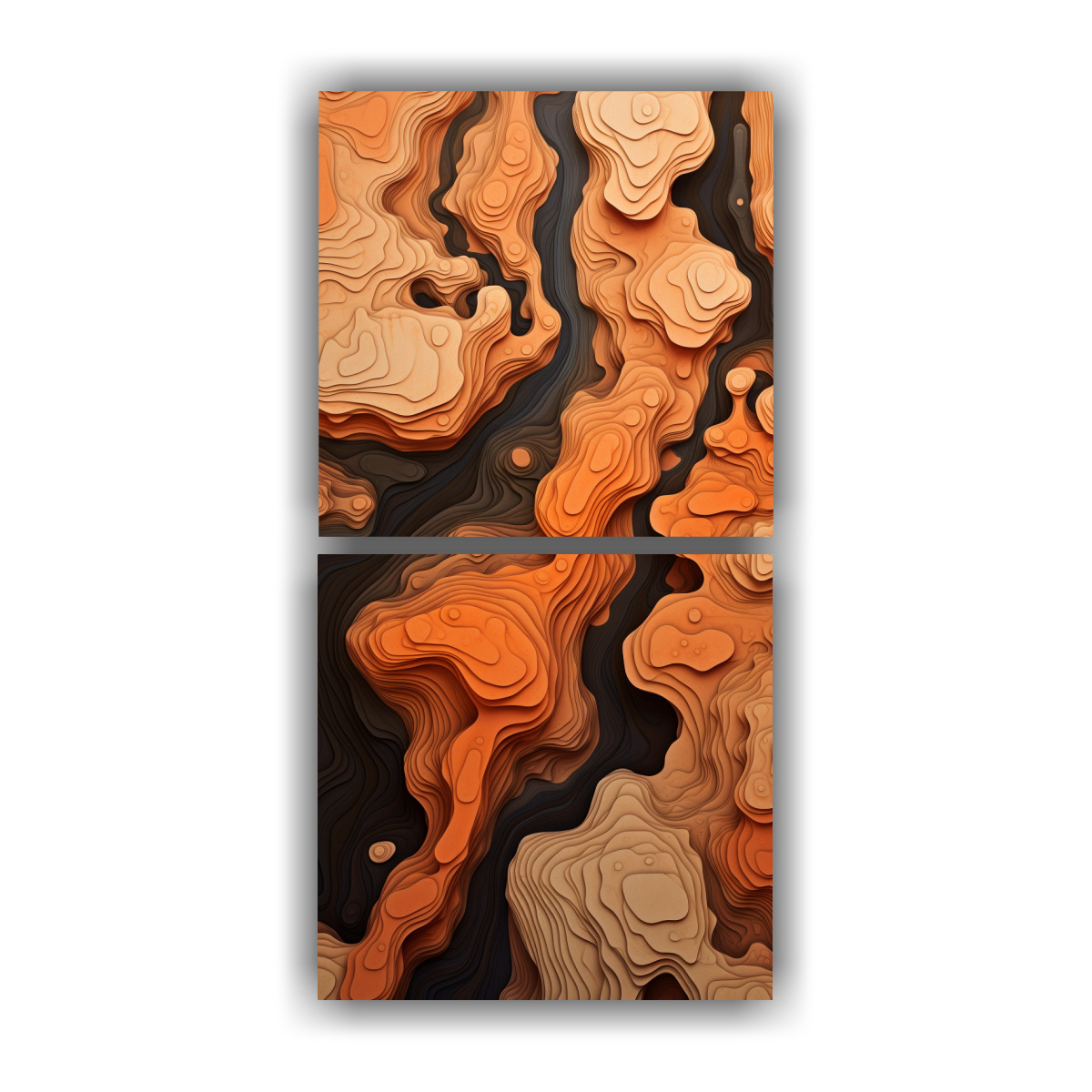 dos-lienzos-cuadro-minimalismo-territorios-inexplorados-en-contornos-abstractos