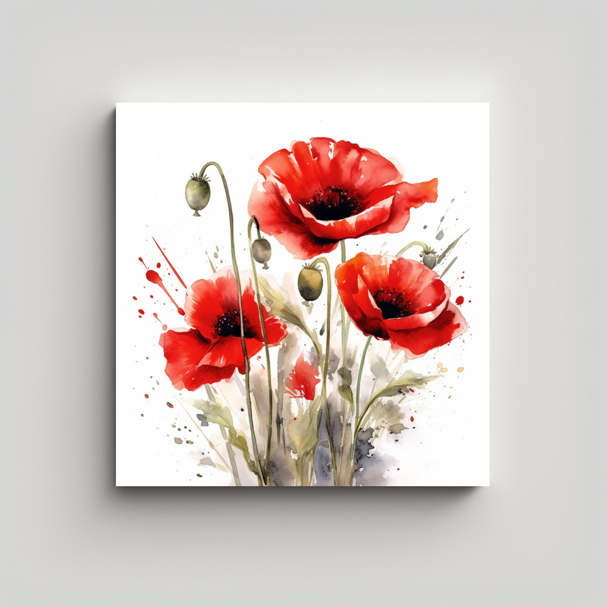 ilustraci-n-acuarela-canva-composici-n-luminosidad-flores-amapola-blancas