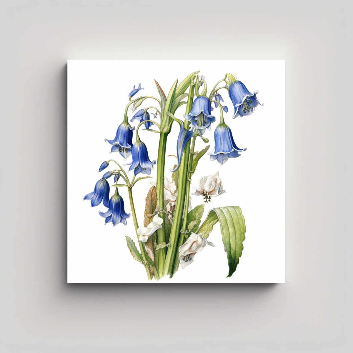 ilustraci-n-bot-nica-de-bluebell-en-lienzo-de-fotograf-a-contraste