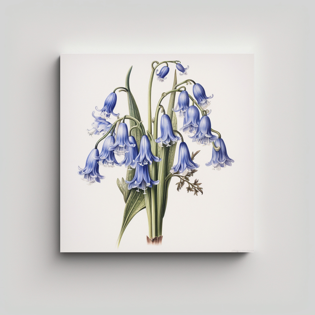 ilustraci-n-bot-nica-detallada-de-bluebells-en-tela-decorativa-nica