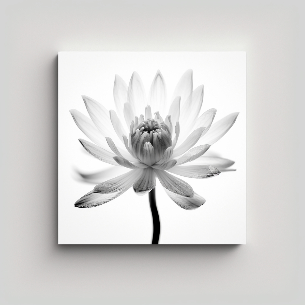 ilustraci-n-intensa-de-lirio-de-agua-en-macro-x-ray-arte-de-pared-minimalista