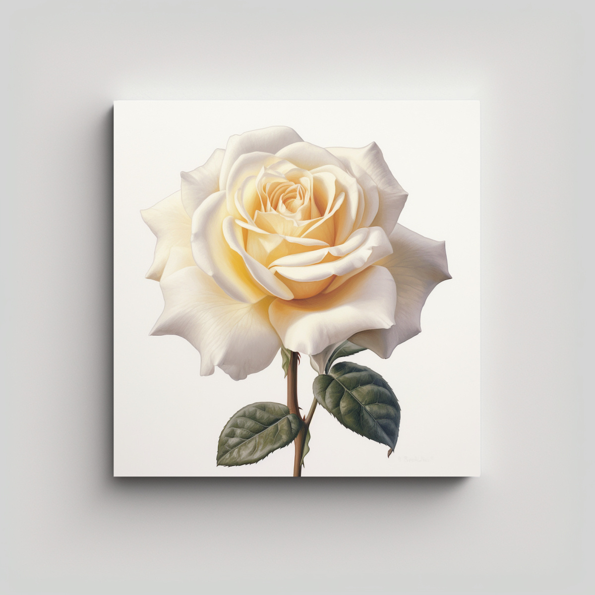 impresionante-lienzo-acuarela-de-rosa-en-blanco-con-estilo-luminoso