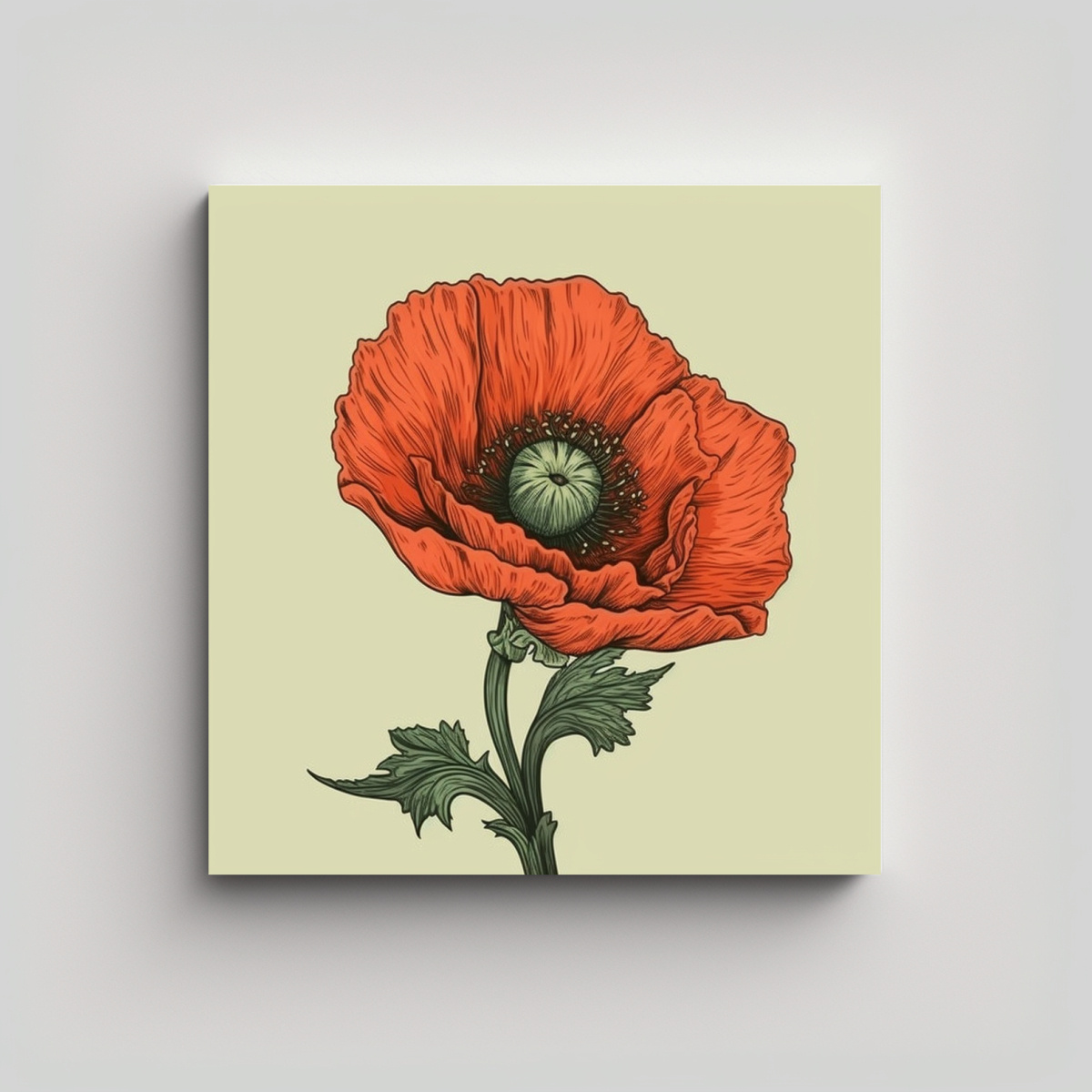 lienzo-vintage-de-alegr-a-poppy-flower-dibujado-a-mano