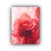 pintura-de-lienzo-decorativo-con-estrellas-y-rosa-acuarela
