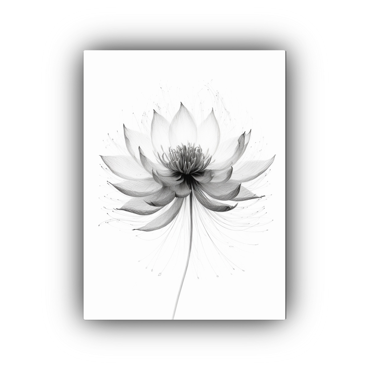 pintura-decorativa-en-bastidor-loto-abstracto-m-gico-de-l-neas-finas-sobre-fondo-blanco-