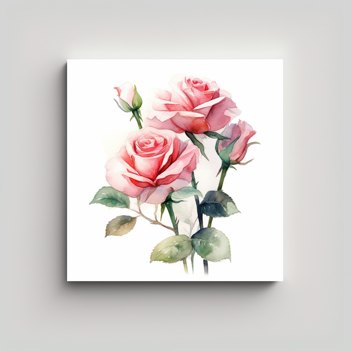 simetr-a-de-rosa-acuarela-decorativa-arte-dibujo-fondo-blanco