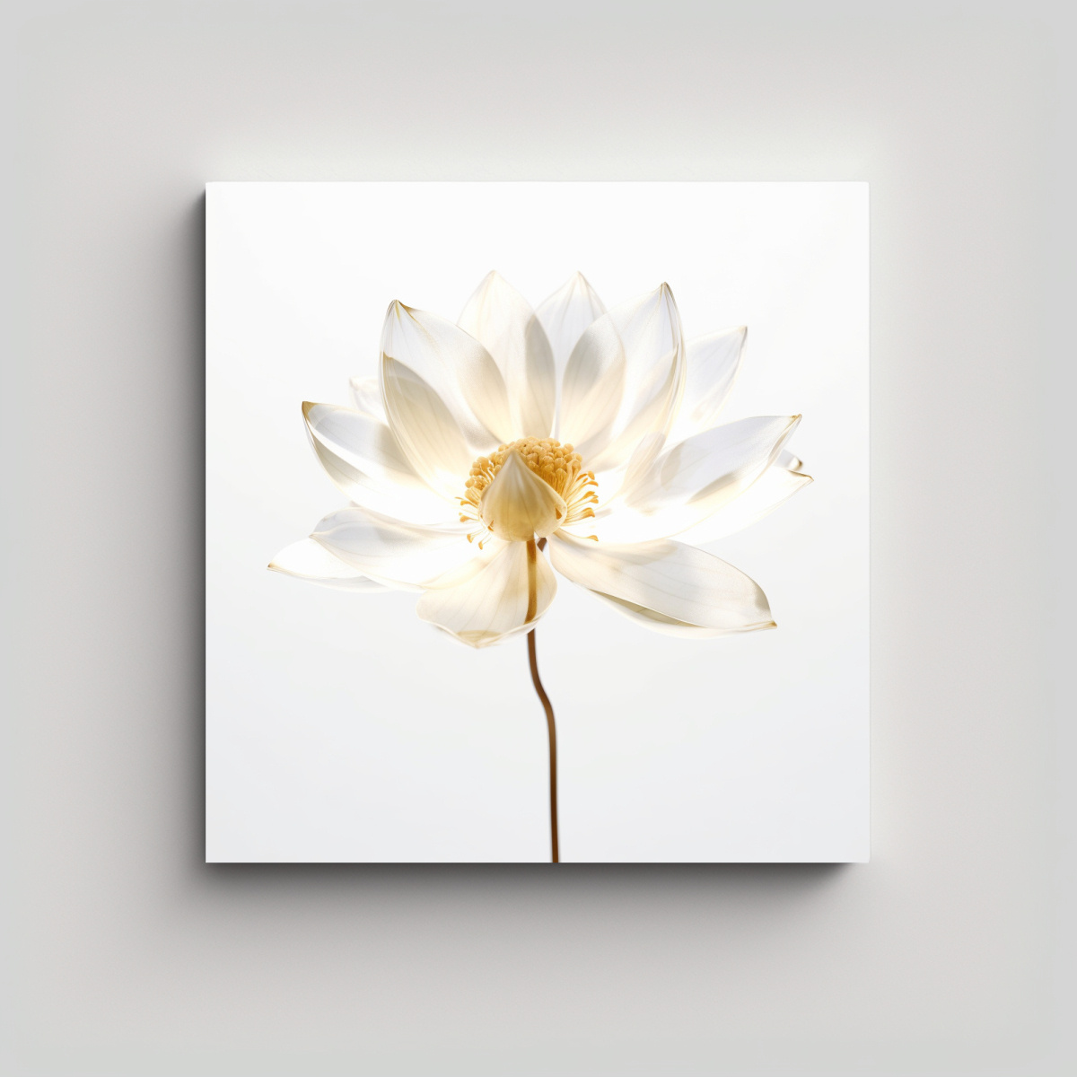 tela-conceptual-lotus-etereo-transparente-rayos-x-en-bastidor