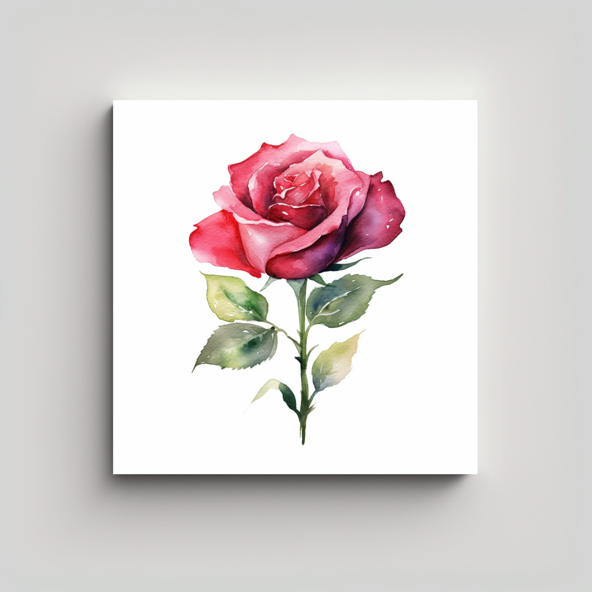 tela-en-bastidor-con-elegante-rosa-acuarela-sobre-fondo-blanco