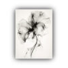arte-de-pared-expresividad-flores-sombras-en-estilo-blanco-y-negro