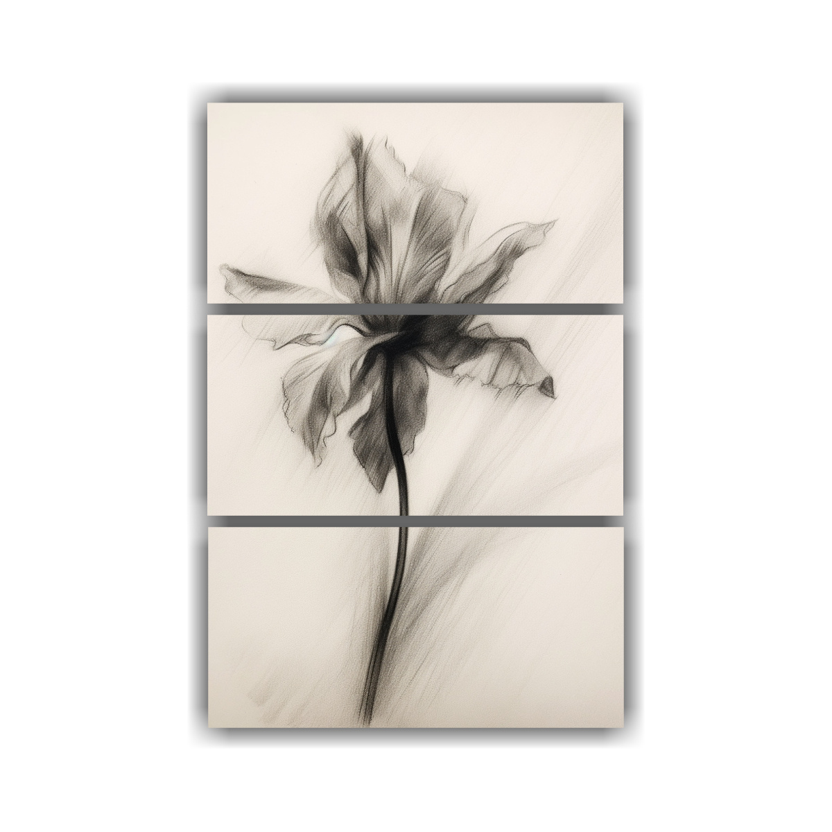 dibujo-espectacular-de-un-narciso-en-papel-t-cnica-de-carboncillo