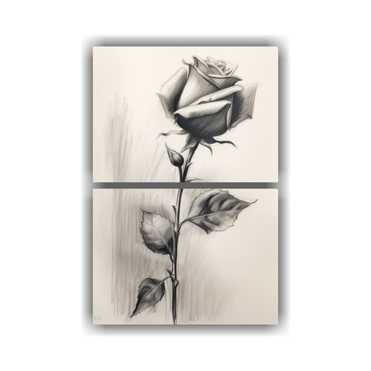 dibujo-l-piz-grafito-de-una-rosa-roja-de-cerca-con-calidez