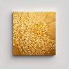 cuadro-decorativo-vida-en-granos-de-cebada-estilo-abstracto-de-leo-detallado-en-alto