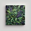 cuadro-moderno-abstracto-de-hierbas-de-salvia-pintura-en-leo-de-estilo-detallado-decoraci-n-con-alta-calidad