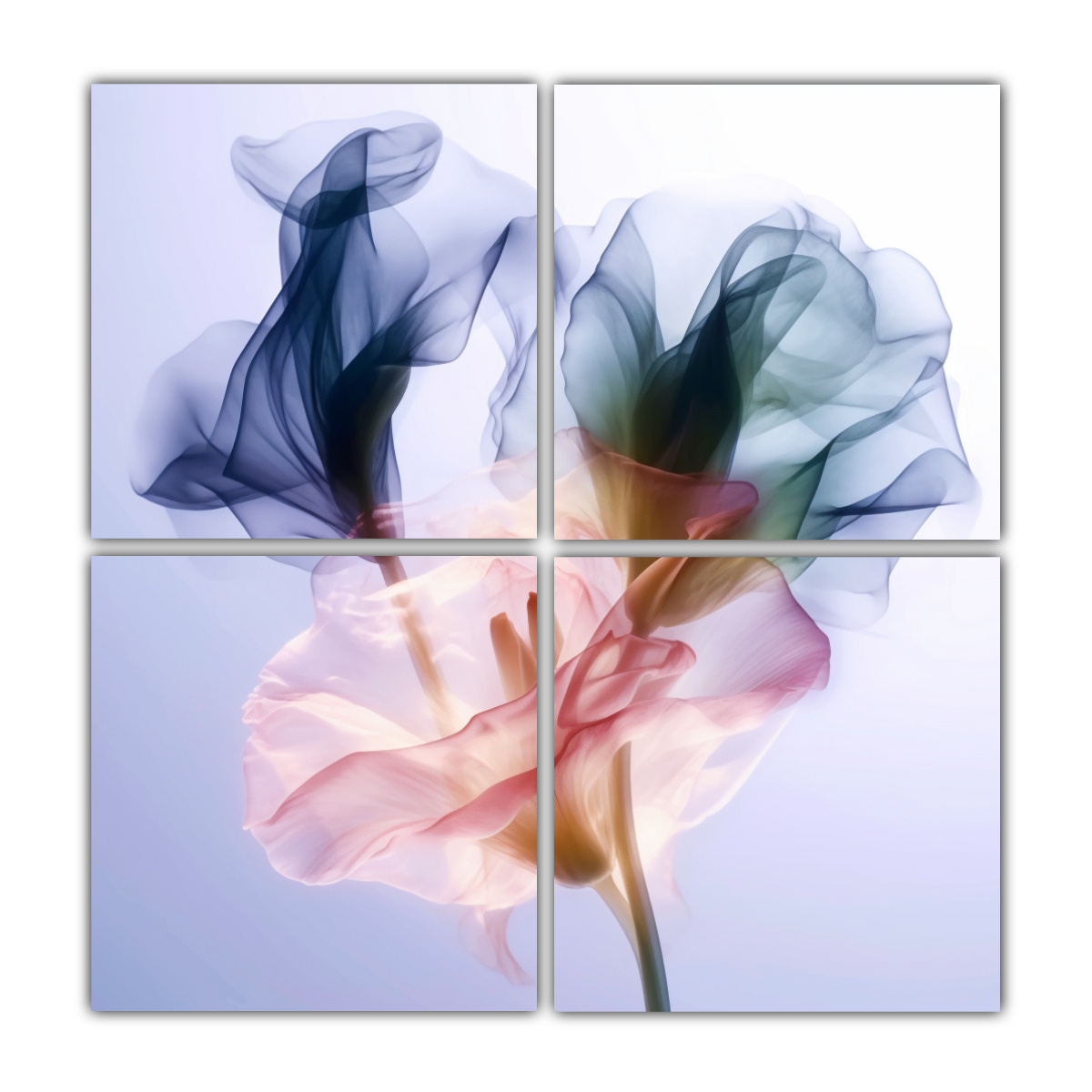 fotograf-a-calidez-marie-flores-en-desenfoque-de-movimiento-contra-fondo-blanco