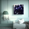 lienzo-finas-l-neas-reflejo-morado-y-negro-flores-en-lienzo-1