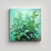 pintura-abstracta-de-hierbas-de-menta-en-estilo-de-leo-detallado-en-lienzo-inspirador