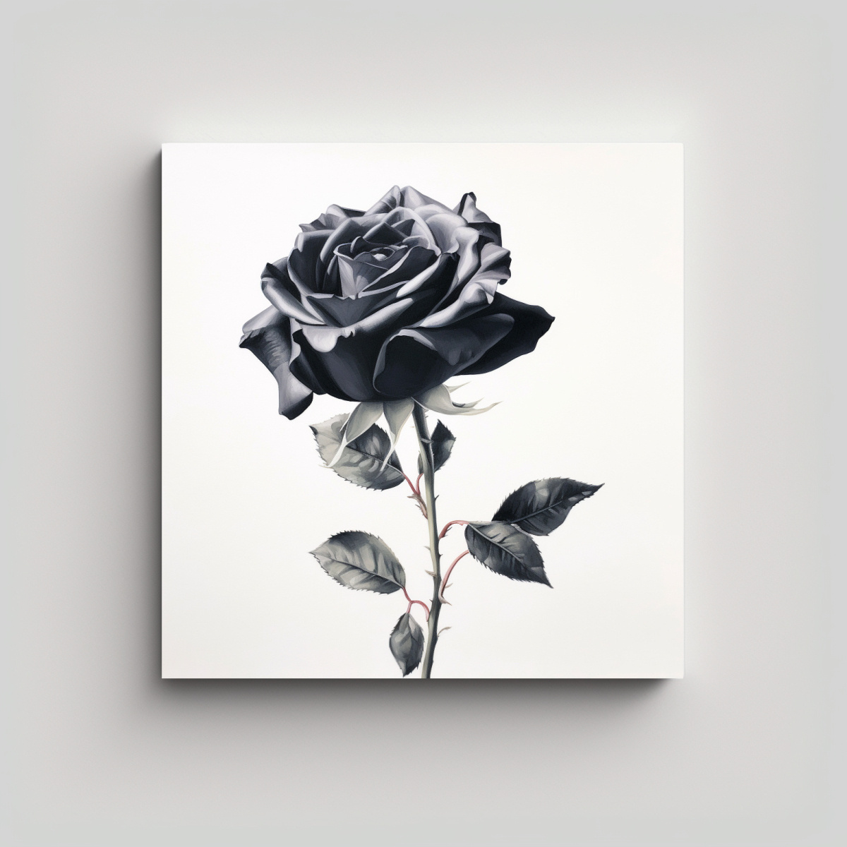 pintura-de-decoraci-n-rosa-negra-bellamente-formada-en-un-fondo-blanco