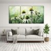 pinturas-abstractas-exclusivas-de-tres-composiciones-flores-de-coneflower-en-colores-verde-y-blanco-con-atm-sfera-neonoir-1