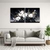 pinturas-decorativas-en-bastidor-belleza-natural-en-blanco-y-negro-con-atm-sfera-neonoir-1