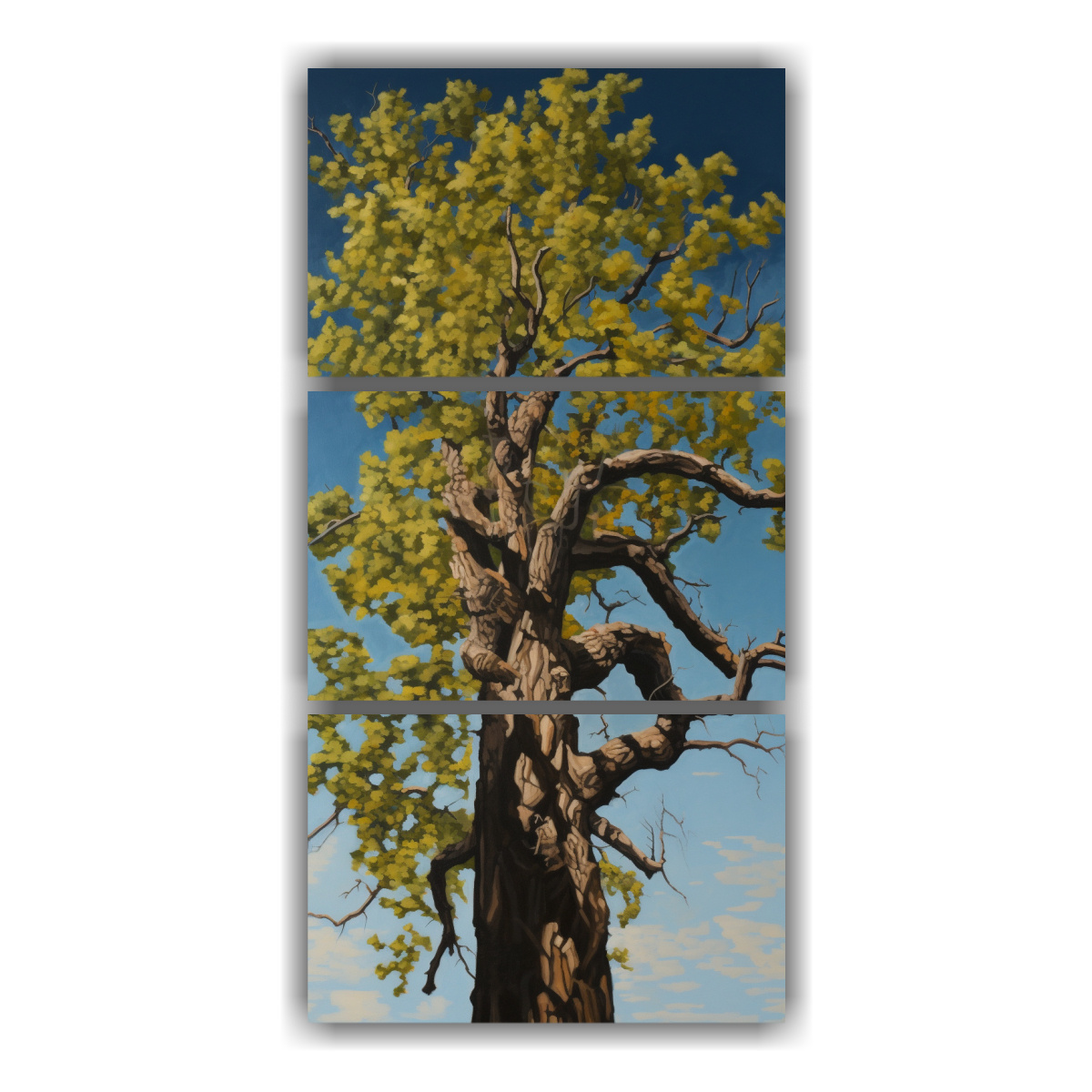 venta-de-tres-lienzos-abstractos-de-algodonero