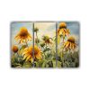 cuadros-abstracci-n-flores-de-girasol-en-jerusal-n