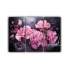 cuadros-decorativos-exclusivos-con-flores-de-claveles-en-negro-y-rosa
