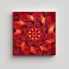 cuadro-abstracto-rojo-minimalista-patr-n-psicod-lico