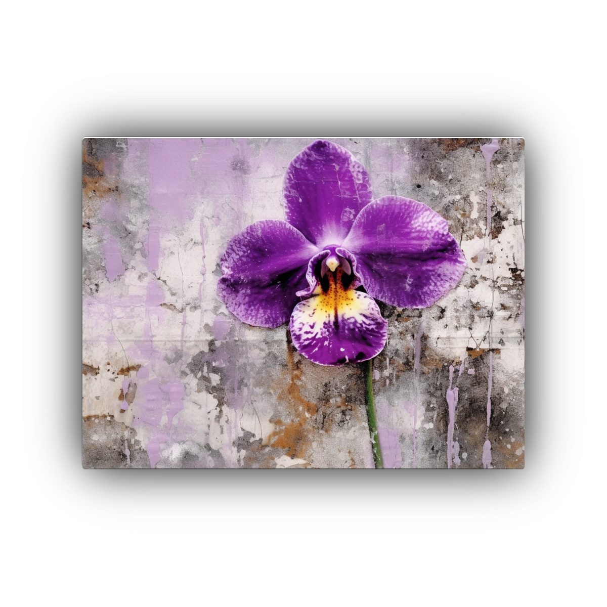 cuadro-fotograf-a-orqu-dea-morada-en-un-paisaje-dist-pico-