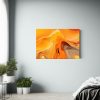 pinturas-abstractas-minimalistas-en-lienzo-con-fondo-naranja-fluido-y-l-neas-suaves-1