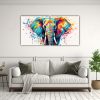 pinturas-decorativas-de-elefante-en-sabana-arco-ris-y-turquesa-1