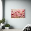 pinturas-decorativas-modernas-de-amapolas-rosas-sobre-fondo-neutro-1-1