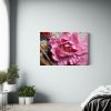 pinturas-decorativas-modernas-de-peon-a-rosa-estilo-abstracto-1-1