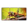 arte-de-pared-elegante-saltamontes-en-estilo-pintura-al-estilo-leo-colorida-21