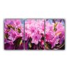 cuadro-abstracto-detallado-de-flores-de-rododendros-en-tres-formas-para-decoraci-n-