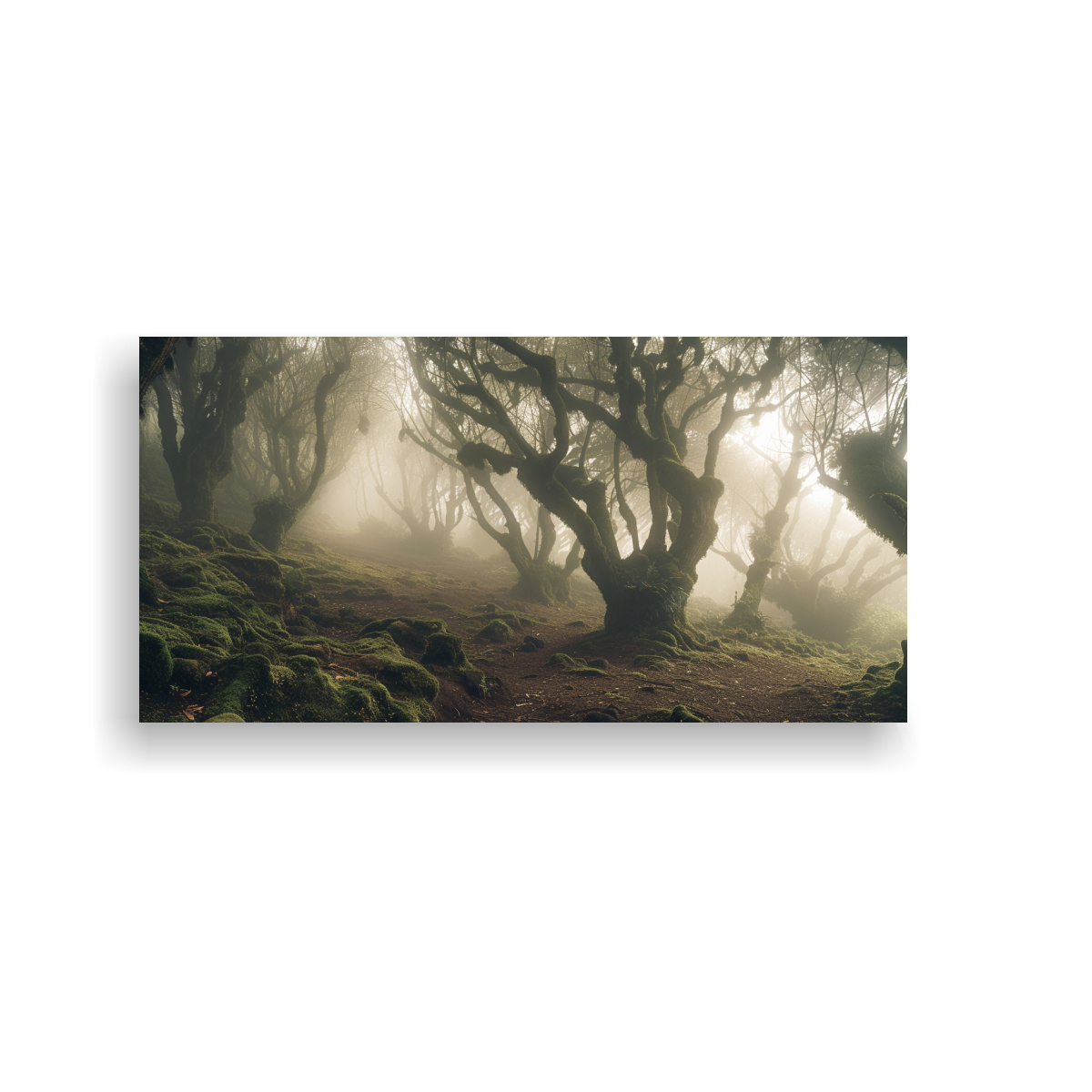 pintura-decorativa-de-bosque-de-fanal-en-bastidor-escena-cinematogr-fica-1973